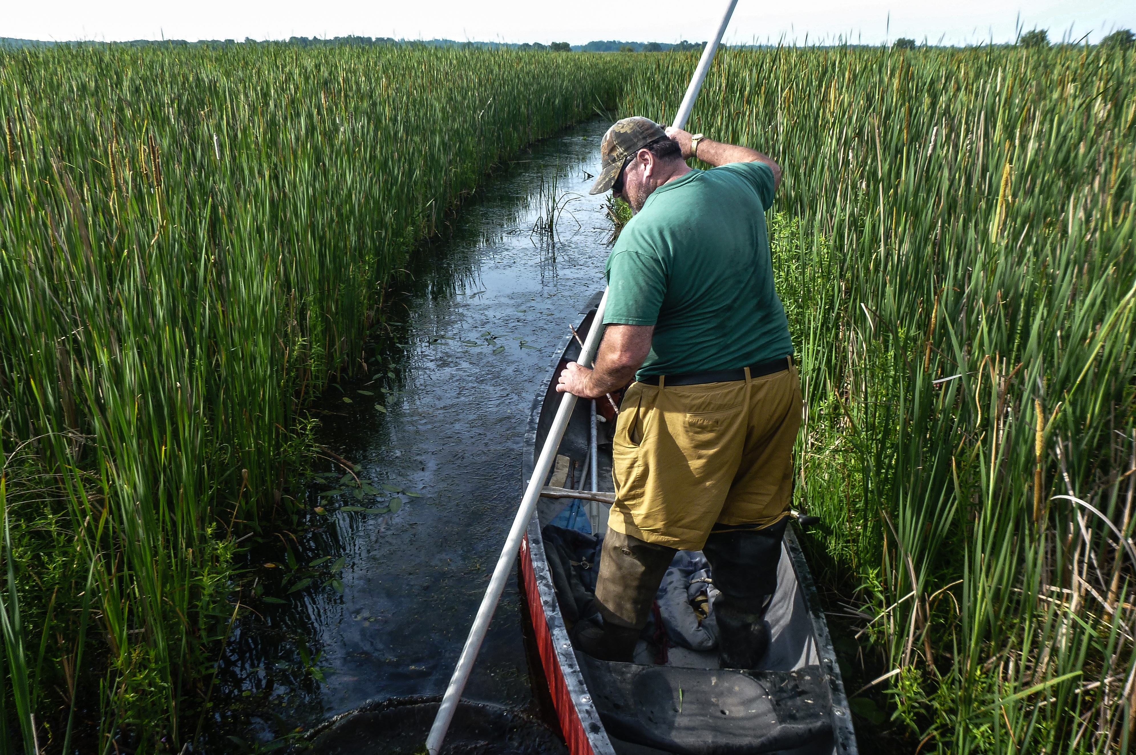 take-our-survey-people-livelihoods-and-invasive-species-st