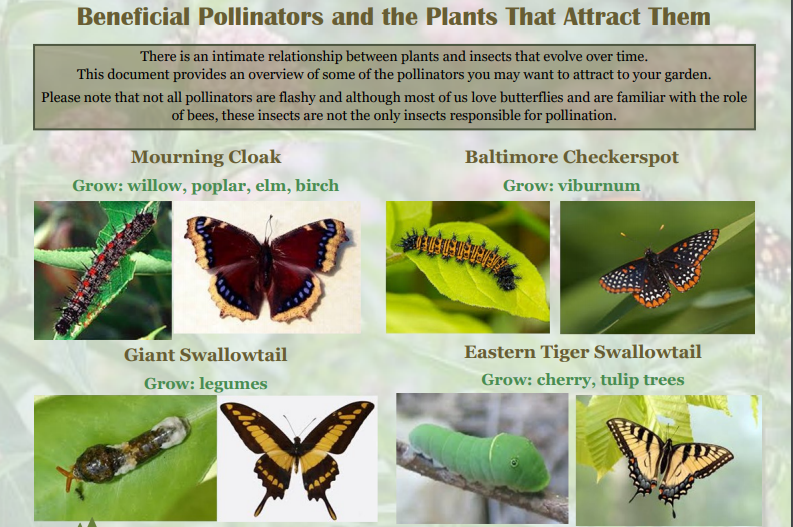 Pollinator Pathway Project - SLELO PRISM